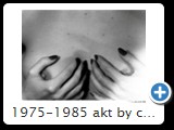 1975-1985 akt by ccw detail 0028