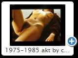 1975-1985 akt by ccw detail 0035