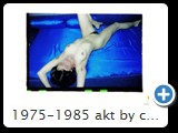1975-1985 akt by ccw fessel 1940