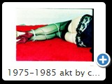 1975-1985 akt by ccw fessel 1980