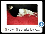 1975-1985 akt by ccw fessel 2050