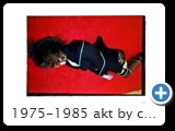 1975-1985 akt by ccw fessel 2060