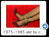 1975-1985 akt by ccw fessel 2080