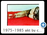 1975-1985 akt by ccw fessel 2090