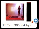 1975-1985 akt by ccw fessel 2110