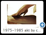 1975-1985 akt by ccw fuss 0017