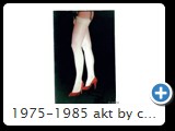 1975-1985 akt by ccw fuss 0018