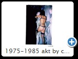 1975-1985 akt by ccw schloss 0002
