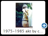 1975-1985 akt by ccw schloss 0004