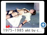 1975-1985 akt by ccw schloss 0006