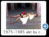 1975-1985 akt by ccw schloss 0007