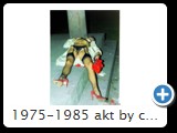 1975-1985 akt by ccw schloss 0008