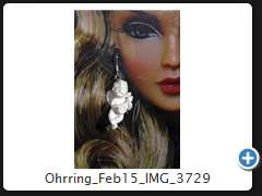 Ohrring_Feb15_IMG_3729
