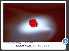 anstecker_2012_1710