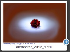 anstecker_2012_1720