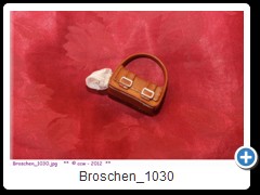 Broschen_1030