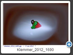 Klemmer_2012_1690