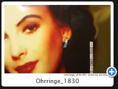 Ohrringe_1830
