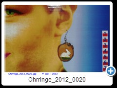 Ohrringe_2012_0020