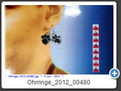 Ohrringe_2012_00480