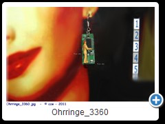 Ohrringe_3360