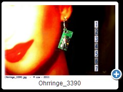 Ohrringe_3390