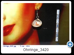 Ohrringe_3420
