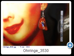 Ohrringe_3530