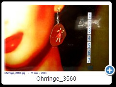 Ohrringe_3560