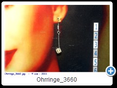 Ohrringe_3660