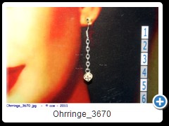 Ohrringe_3670