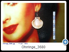 Ohrringe_3680