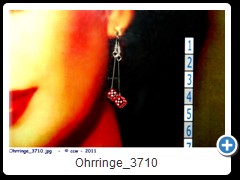 Ohrringe_3710