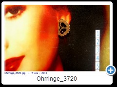 Ohrringe_3720