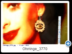 Ohrringe_3770