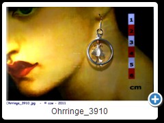 Ohrringe_3910