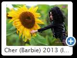 Cher (Barbie) 2013 (IMG 0861)