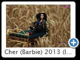 Cher (Barbie) 2013 (IMG 1664)