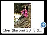 Cher (Barbie) 2013 (IMG 1824)