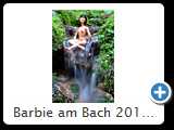 Barbie am Bach 2014 (HDR_7316_2)