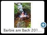 Barbie am Bach 2014 (HDR_7532_2)