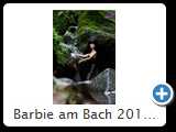 Barbie am Bach 2014 (IMG_7574)