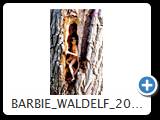 barbie waldelf 2014 (img 4728)