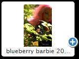 blueberry barbie 2014 (img 6800)
