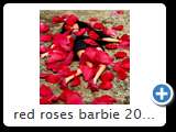red roses barbie 2014 (img 7188)