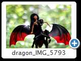 dragon_IMG_5793