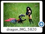dragon_IMG_5820