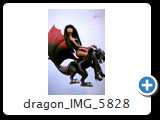 dragon_IMG_5828