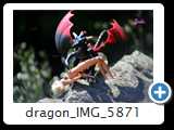 dragon_IMG_5871