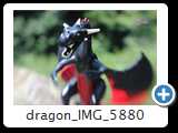 dragon_IMG_5880